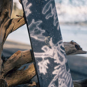 niche minx seadragon detail