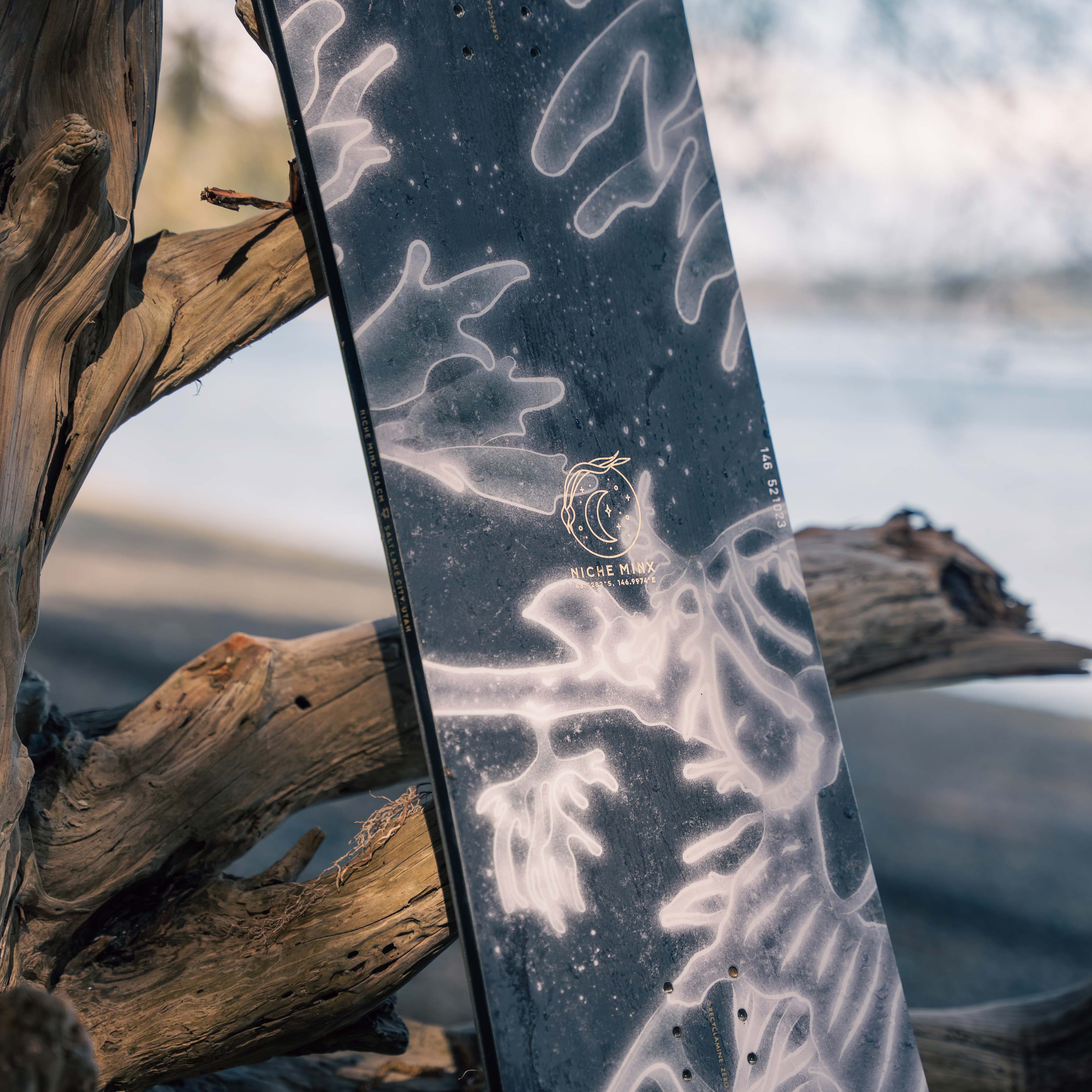 niche minx seadragon detail