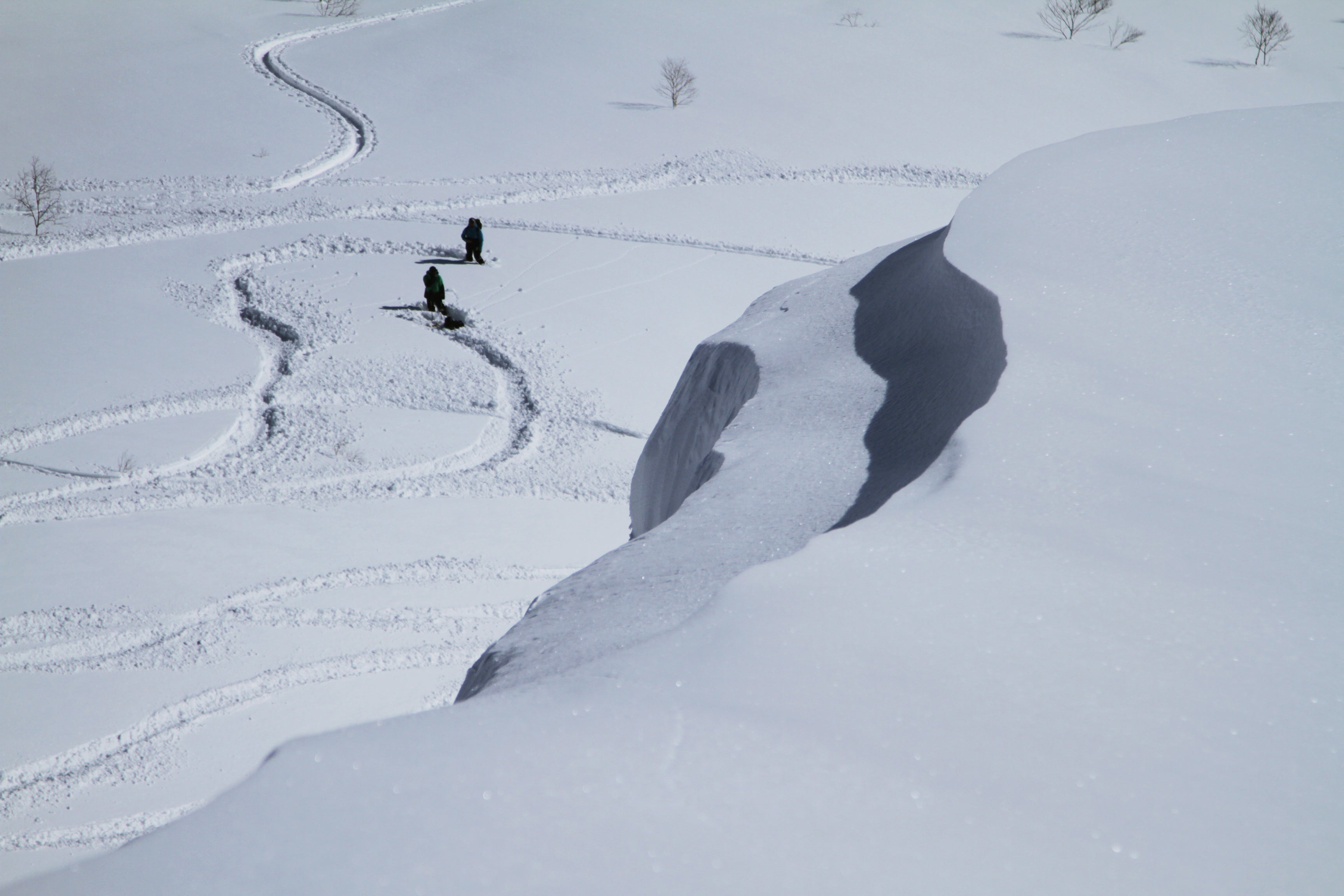 niche snowboards Japan