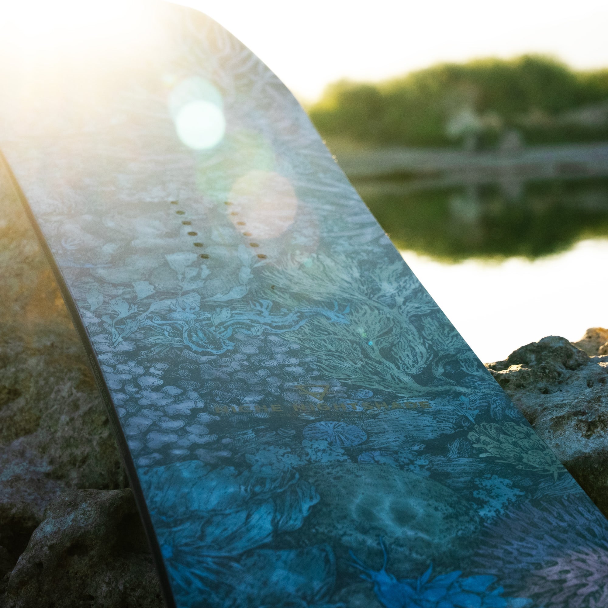 niche nightshade snowboard nudibranch graphic detail