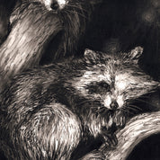 niche wraith snowboard raccoon graphic detail
