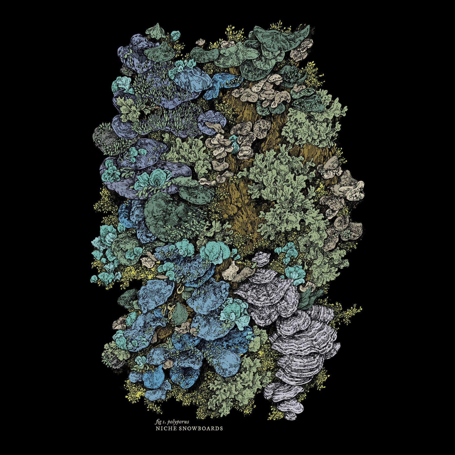 niche lichen shirt