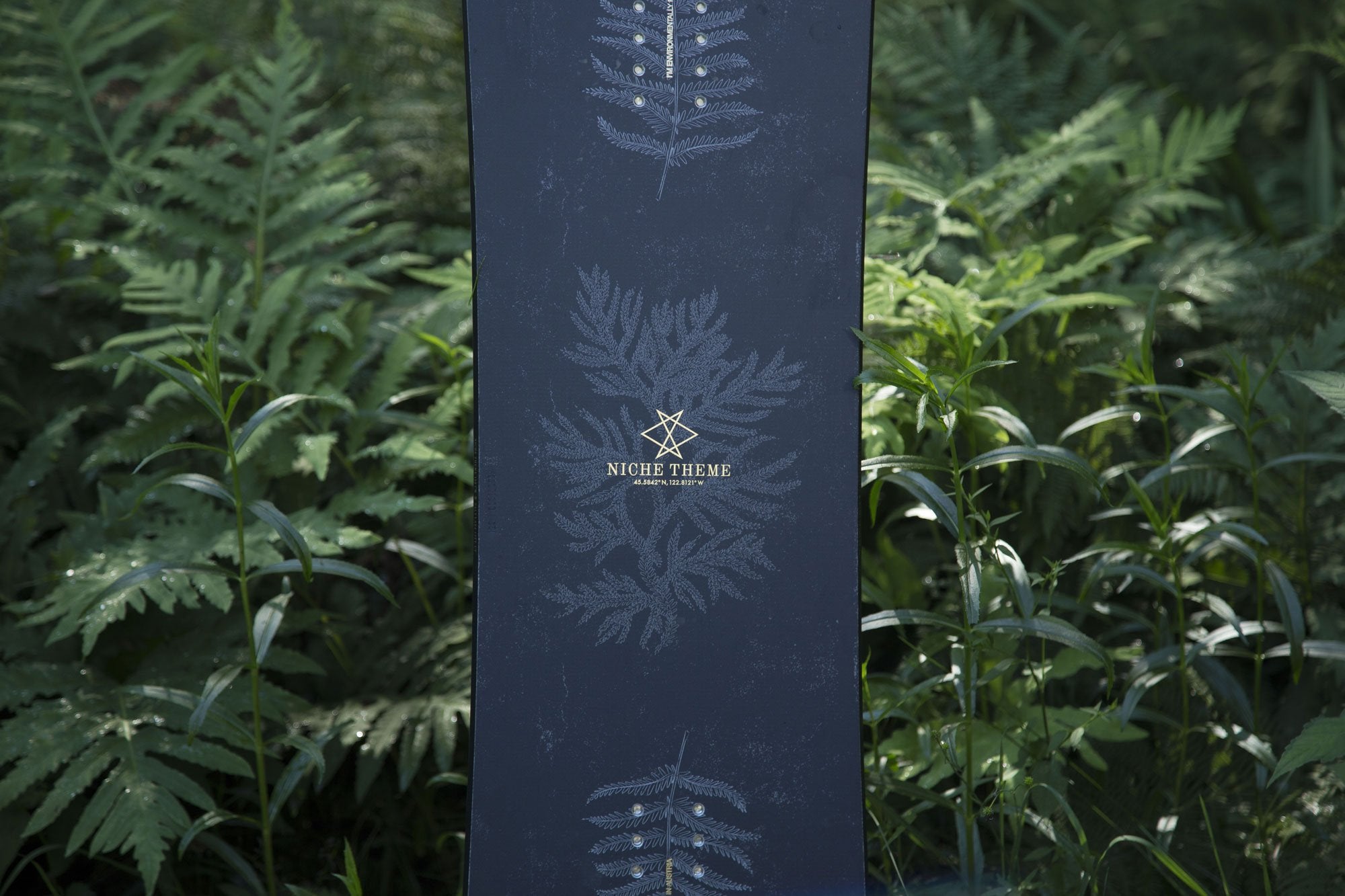 niche theme with leafy background