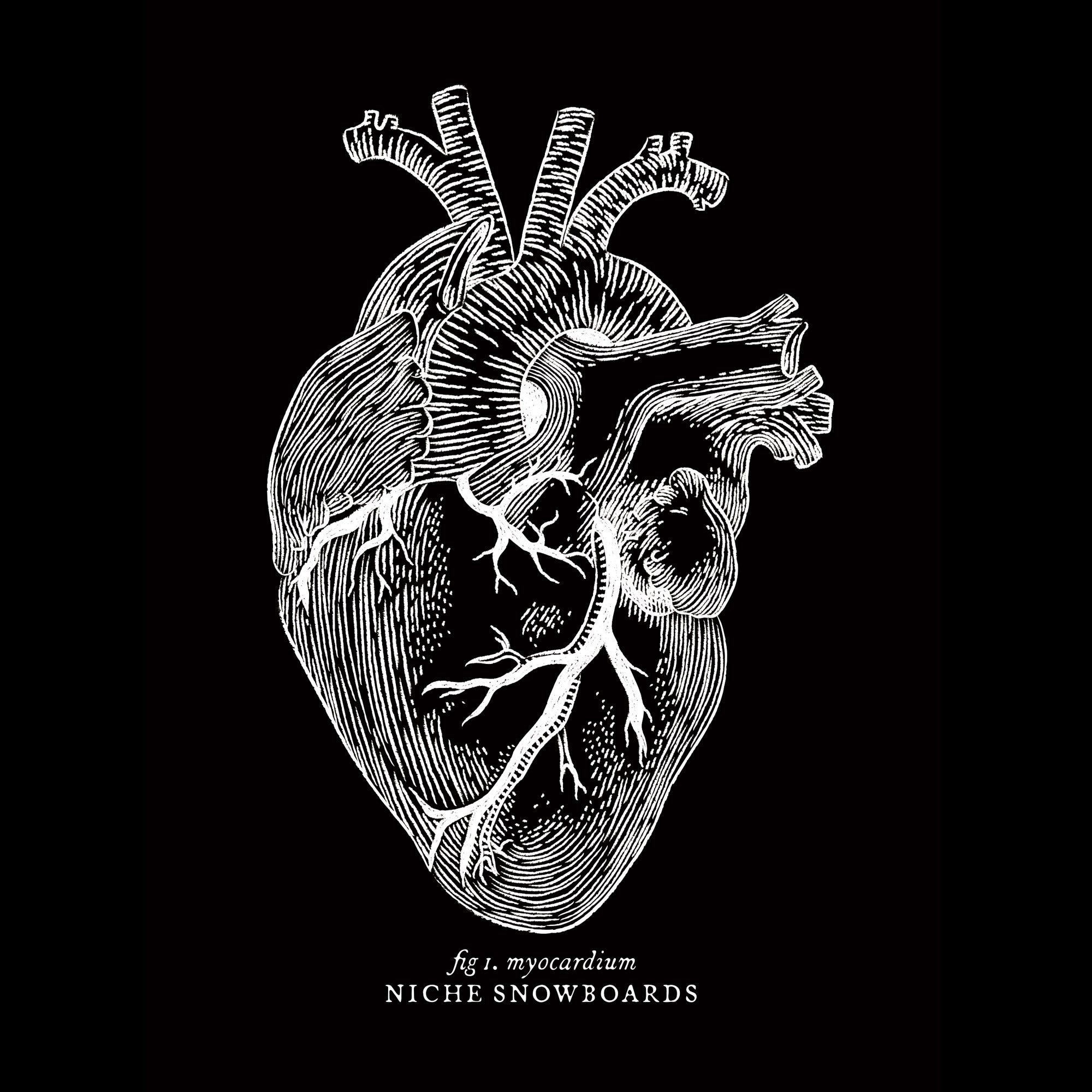 niche anatomical heart hoodie