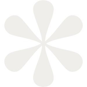 niche snowboards logo