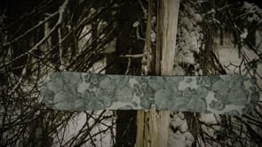 niche sonnet snowboard mycelium product video