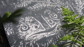 Men's – Niche Snowboards