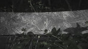 niche aether snowboard franklinia product video
