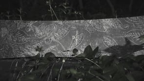 niche aether snowboard franklinia product video