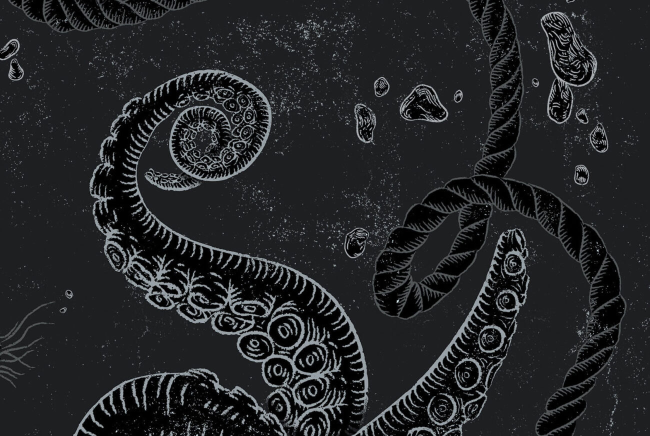 kraken iPhone wallpaper
