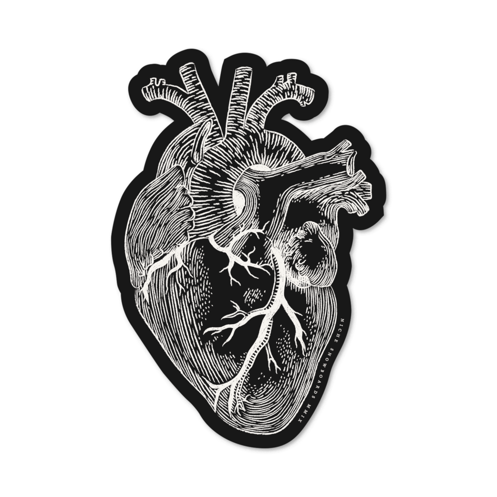 anatomical heart sticker