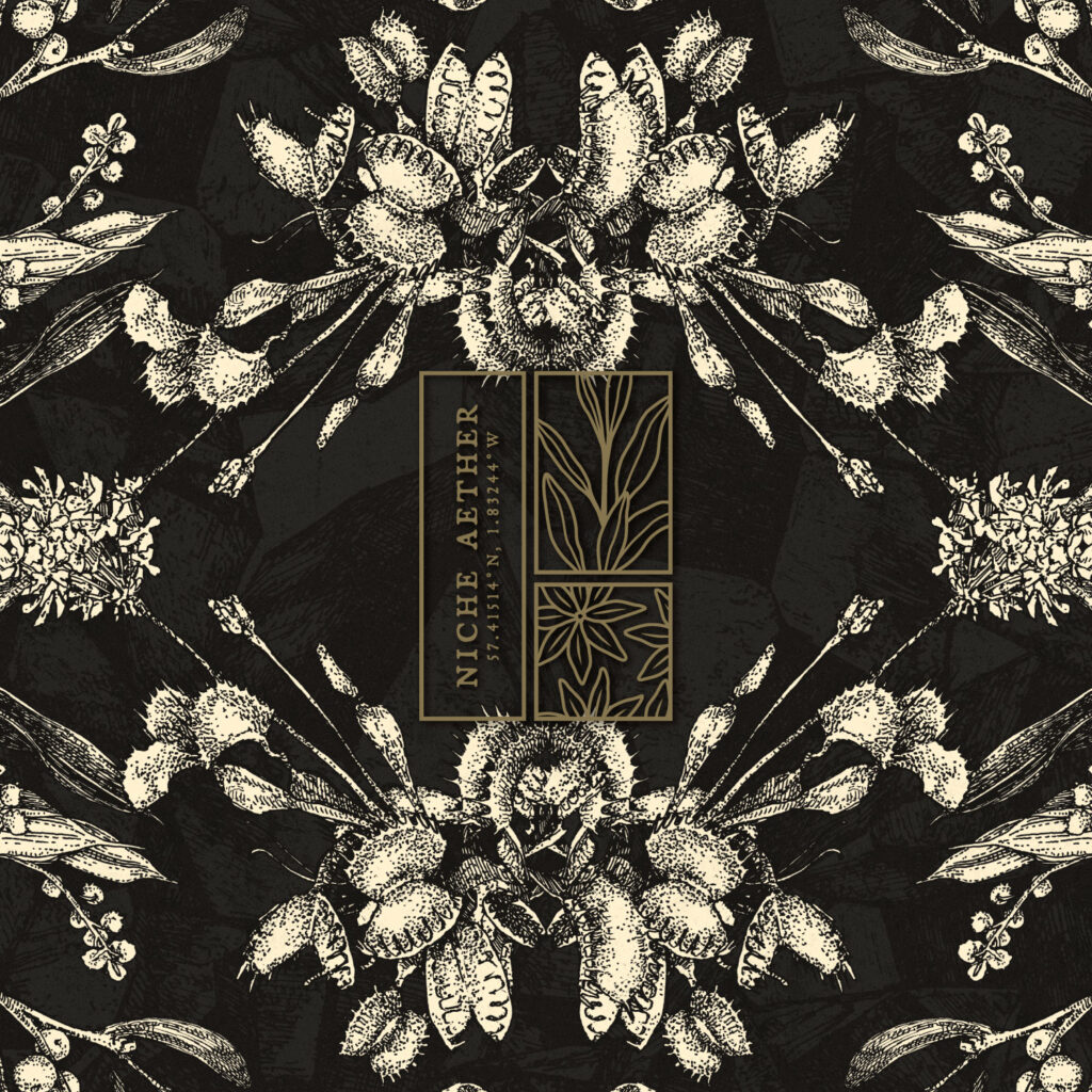 Niche Aether Snowboard