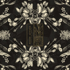 niche aether graphic and foil stamp detail