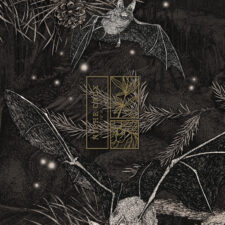 niche crux graphic and foil stamp detail