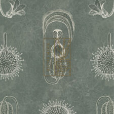 niche minx graphic and foil stamp detail