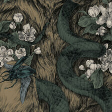 niche story snowboard graphic detail