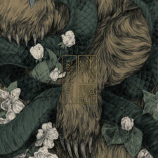 niche story snowboard graphic detail