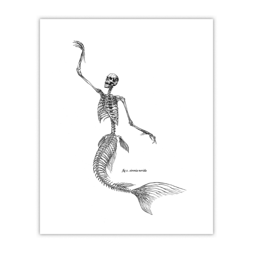 mermaid skeleton art print