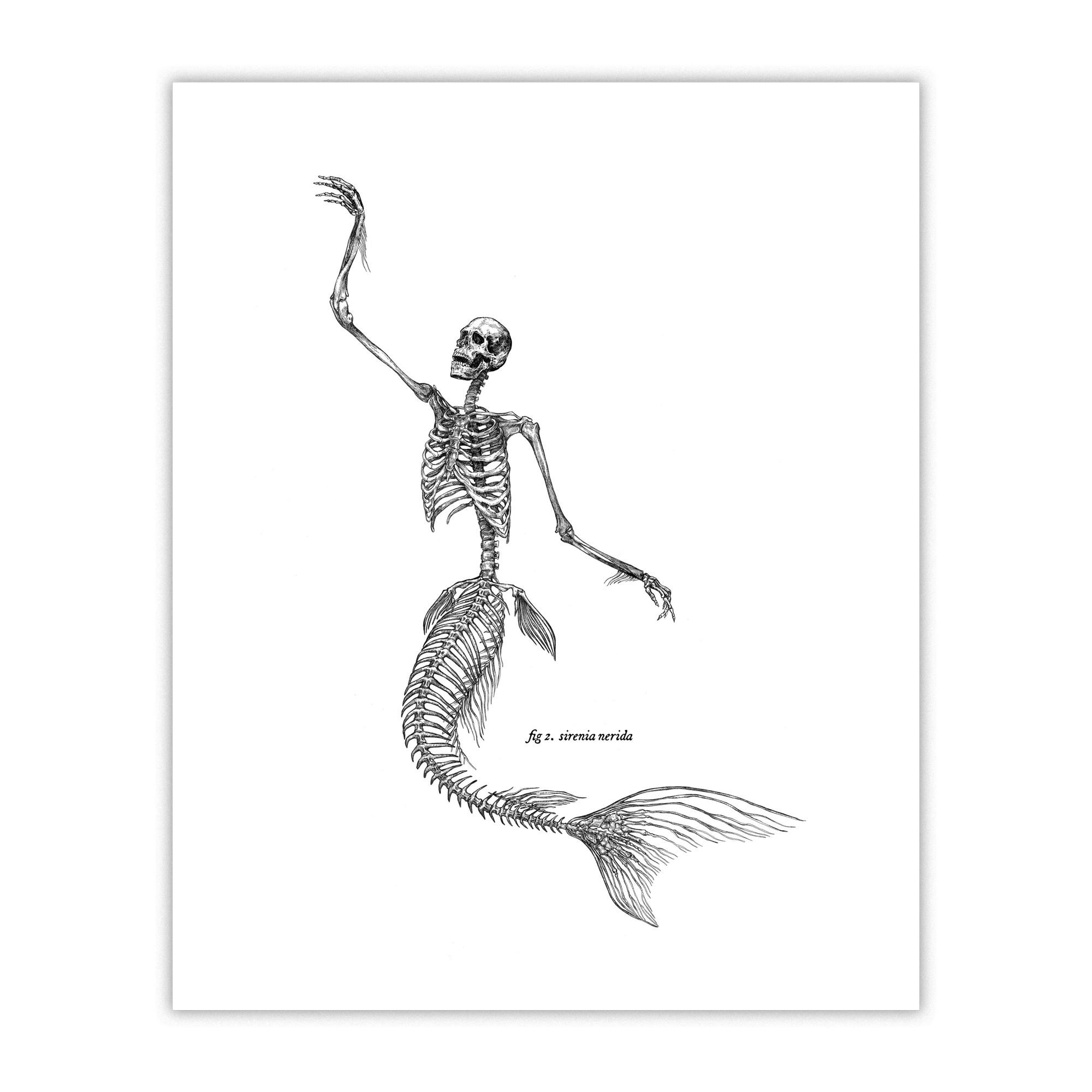 Mermaid Skeleton 2 Print