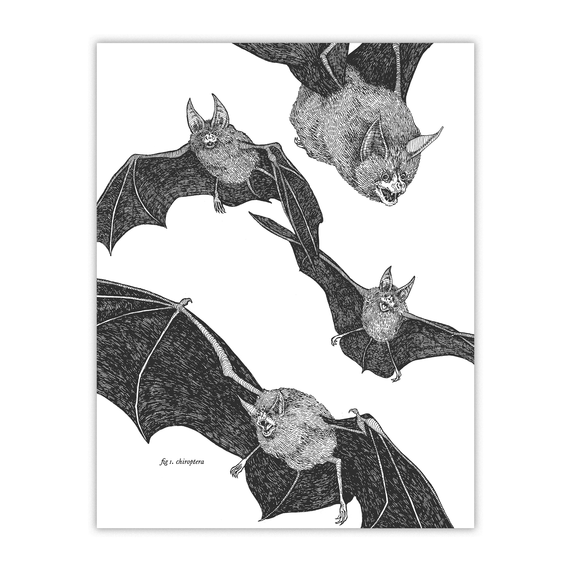 Bats Print