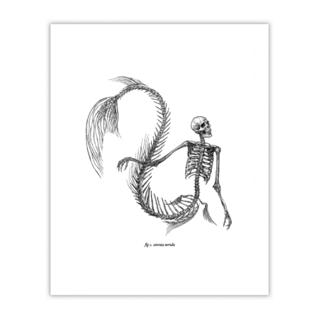 Mermaid Skeleton 1 Print