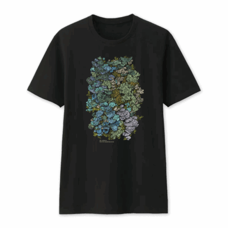 lichen shirt