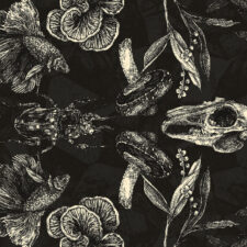 niche aether snowboard graphic detail