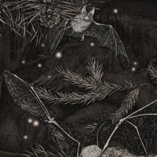 Niche_2425_Crux_1