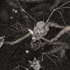 Niche_2425_Crux_2