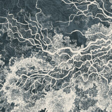 niche maelstrom graphic detail