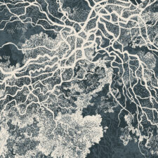 niche maelstrom graphic detail