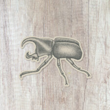 rhino beetle sticker