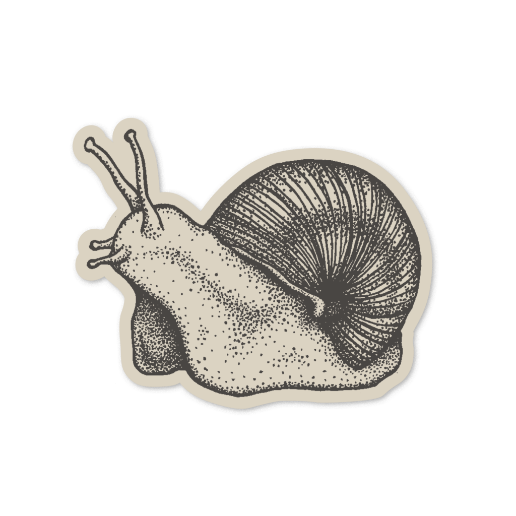 snail sticker