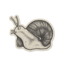 snail sticker