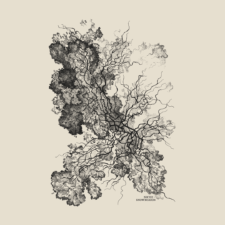 niche oversized slime mold shirt detail
